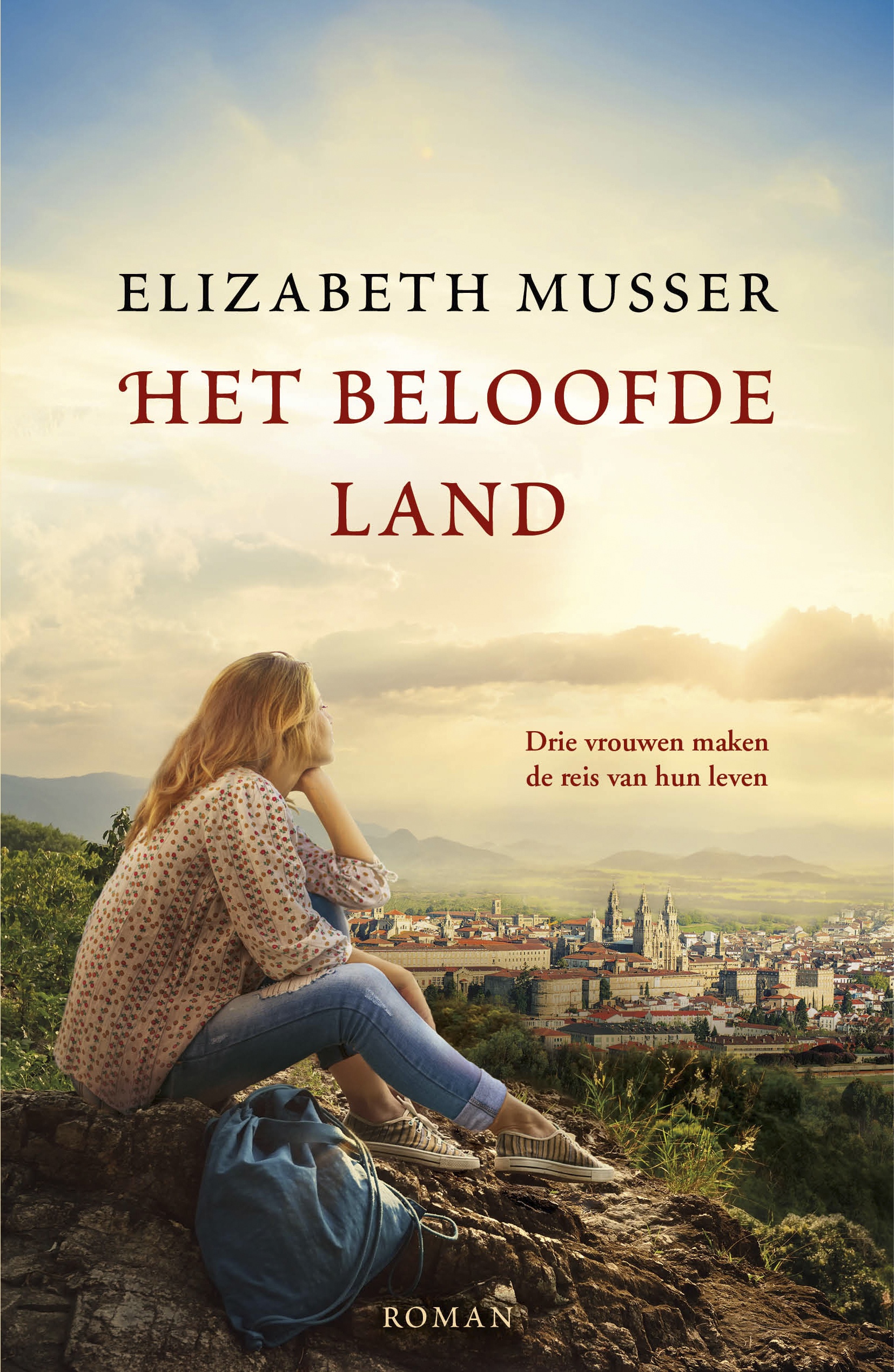 Het beloofde land - cover.9789029730303