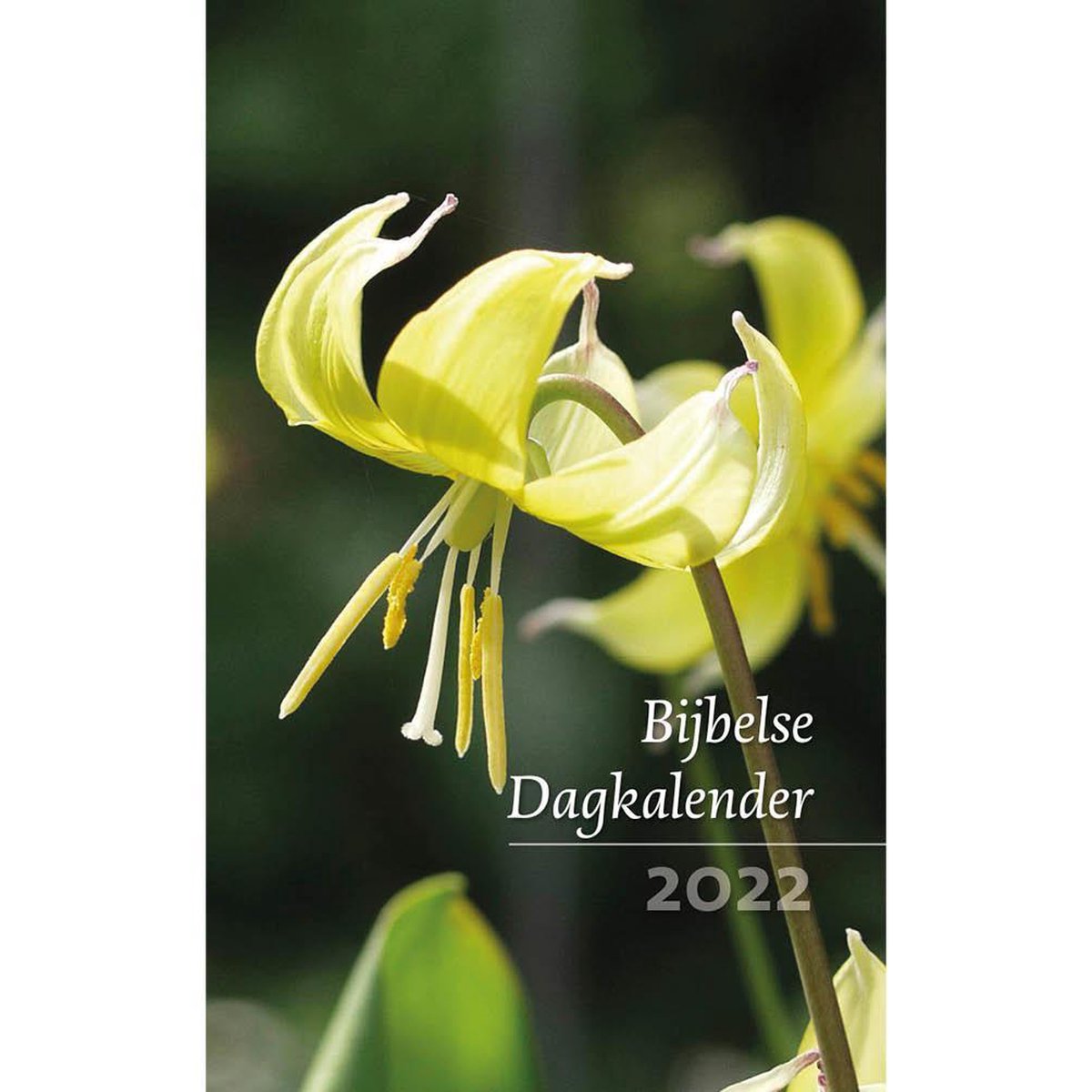 bijbelse-dagkalender 2022