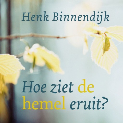 binnendijk hoe ziet de hemel eruit