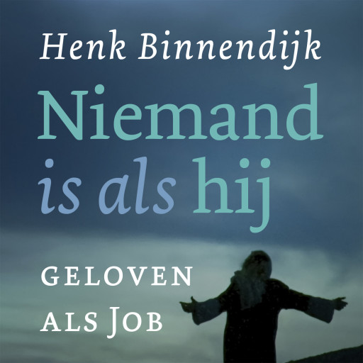 binnendijk niemand is als hij
