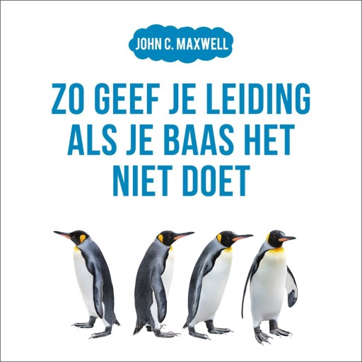 maxwell zo geef je leiding als je baas het niet doet