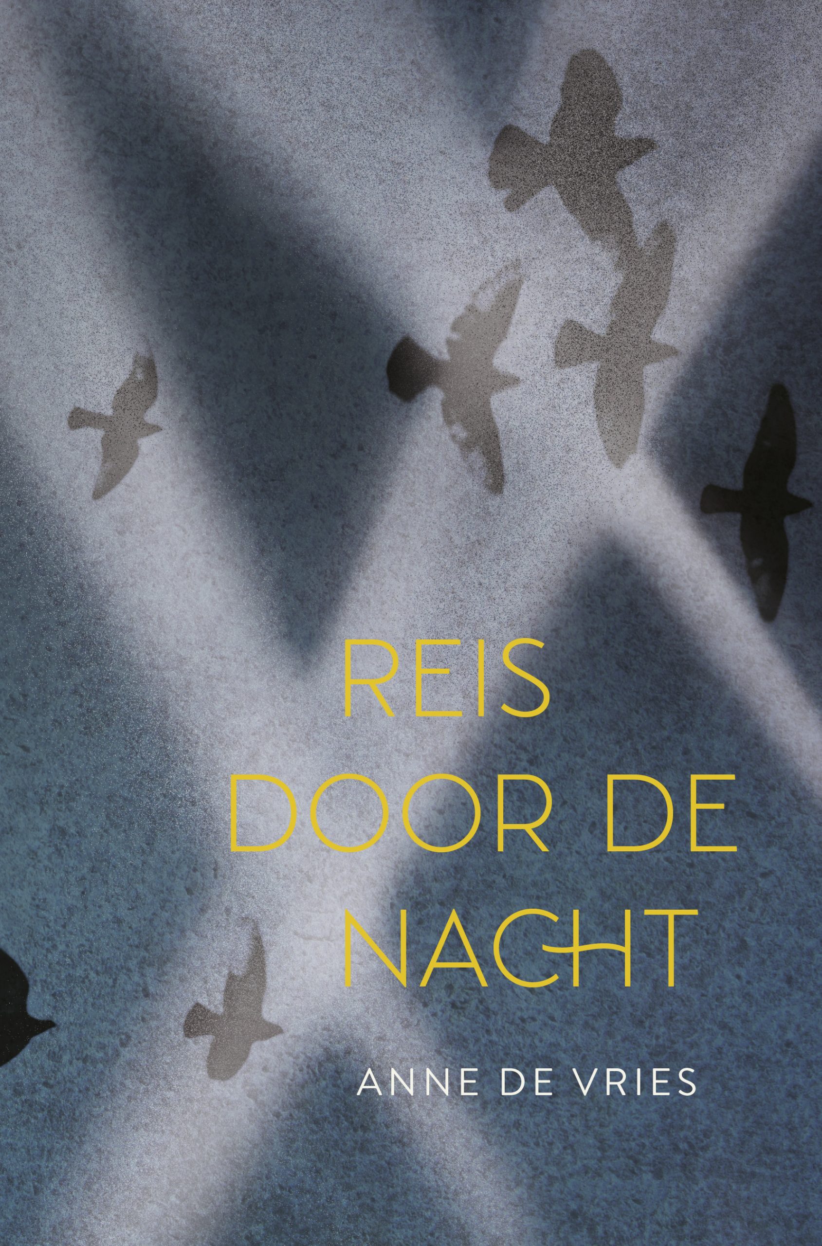 reis door de nacht