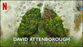 A life on our planet