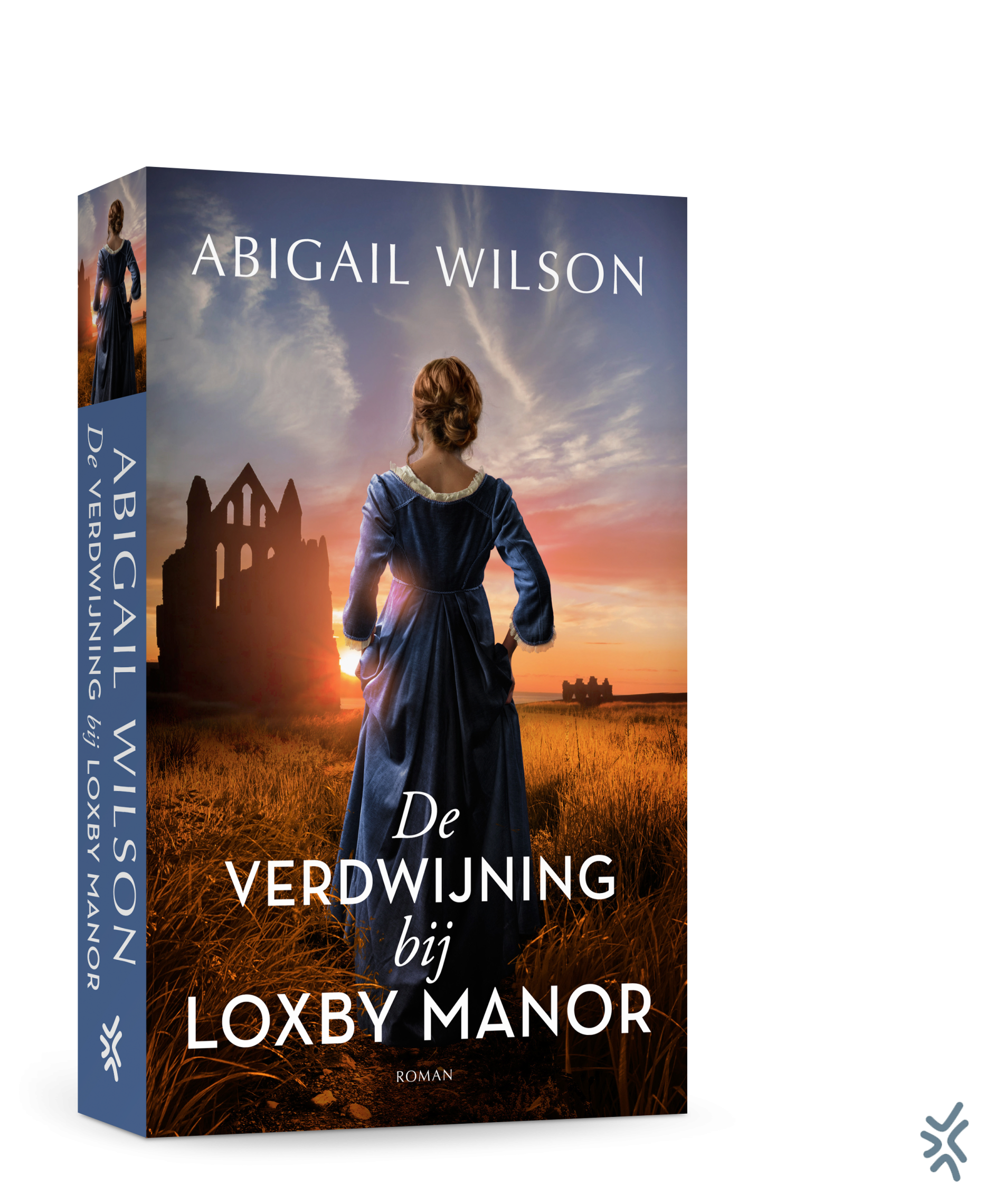 De verdwijning bij Loxby Manor