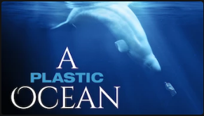 A plastic ocean