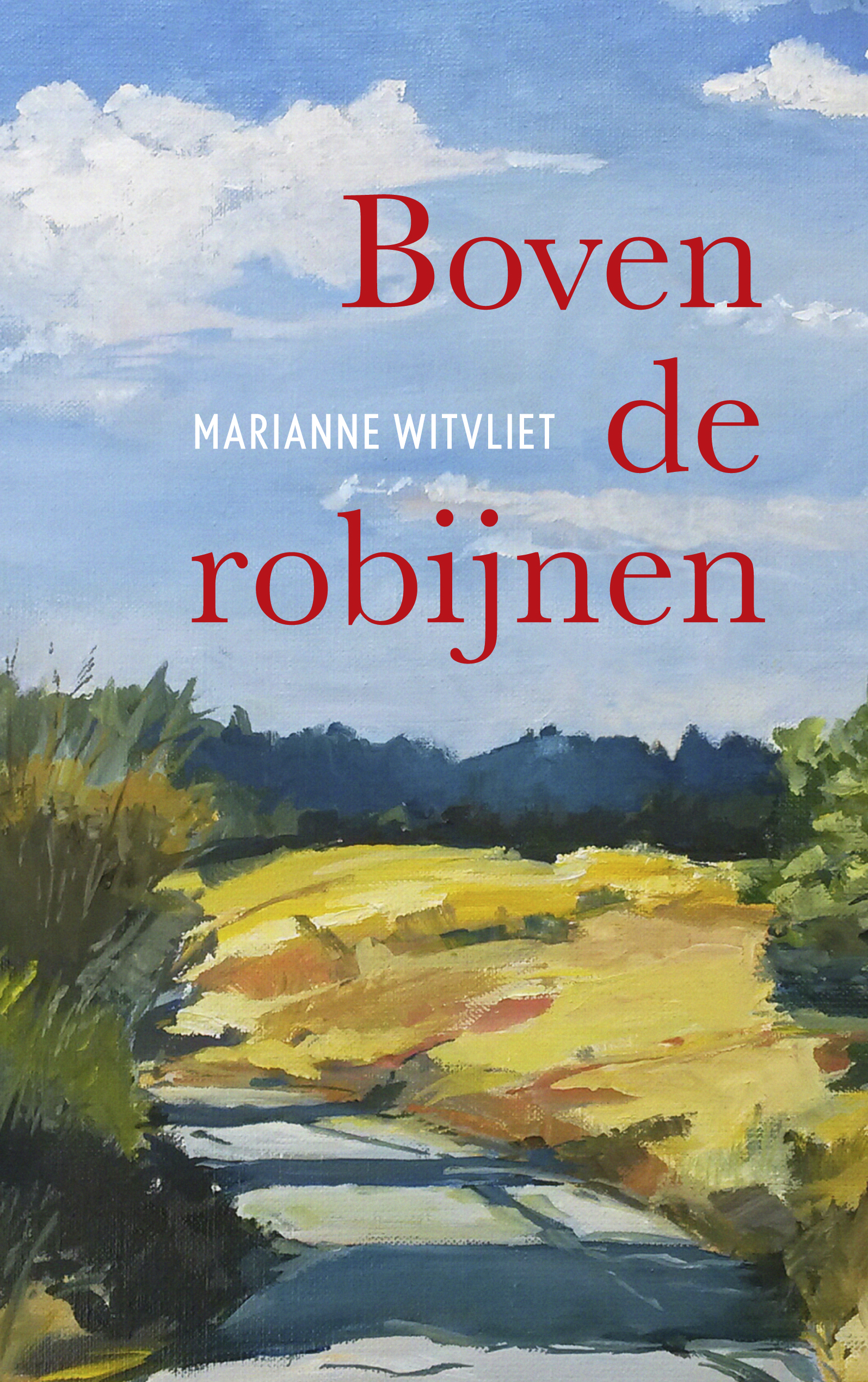 9789029733489 Boven de robijnen - cover