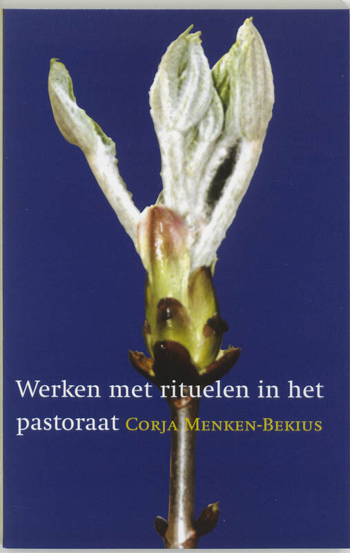 werken met rituelen in het pastoraat