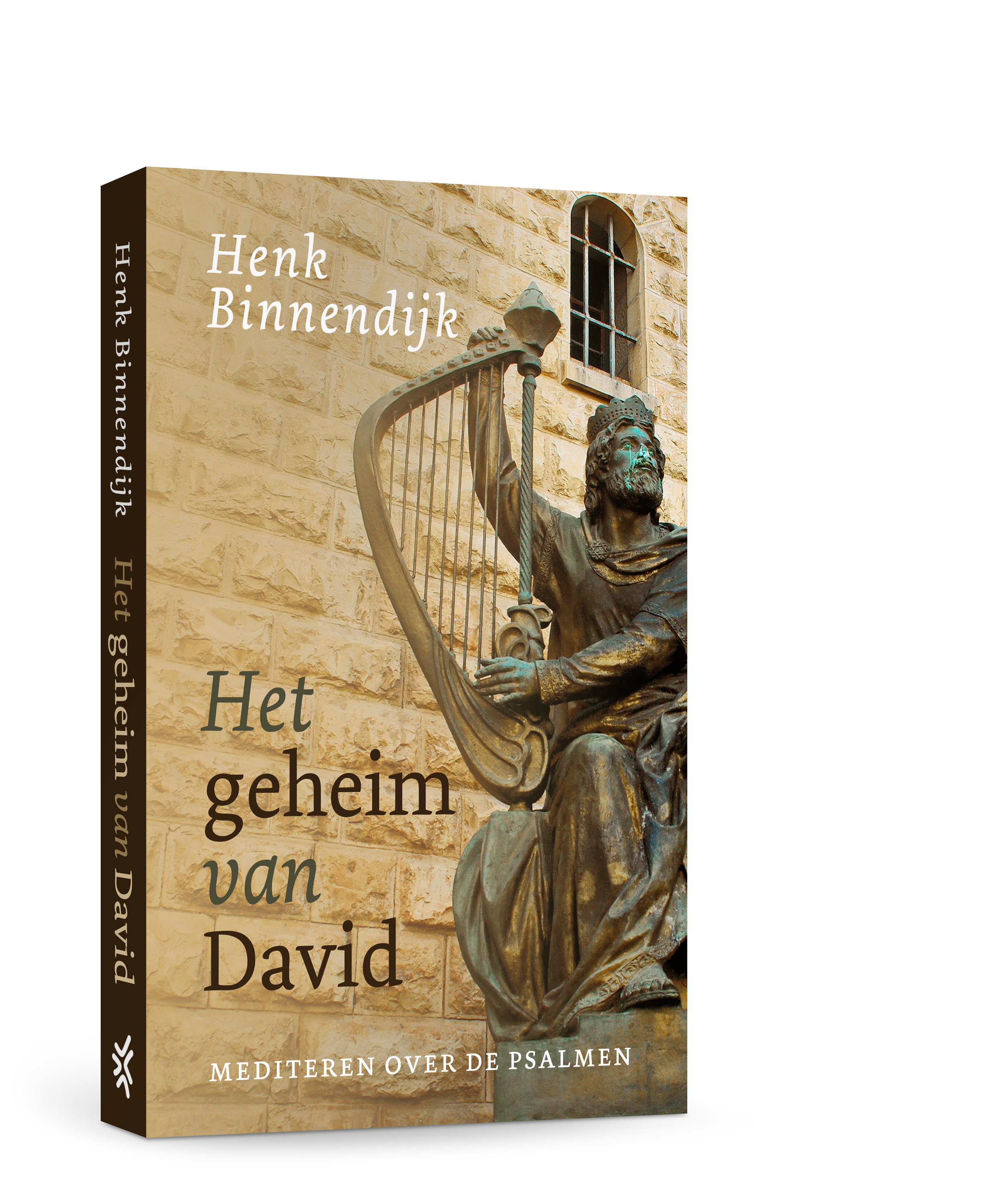 9789043539173 Het geheim van David - 3d