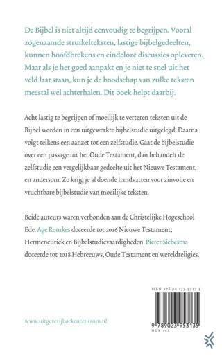 Struikelblokken - achterkant