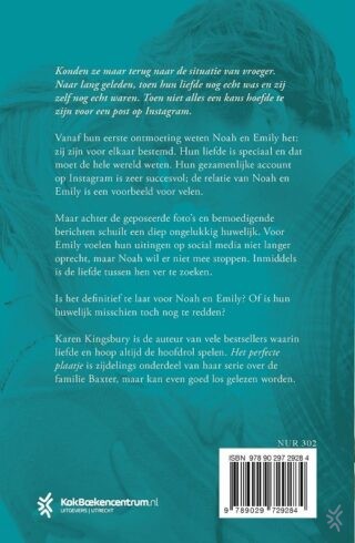 Het perfecte plaatje - achterkant