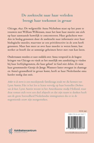 Anker in de storm - achterkant