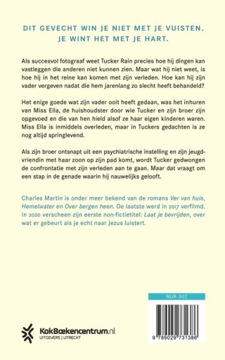 Een spel van licht - achterkant