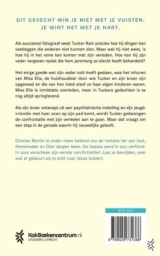 Een spel van licht - achterkant