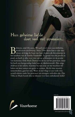 Schoon in de sluier - achterkant