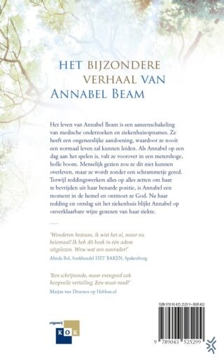 Het meisje dat God ontmoette - achterkant