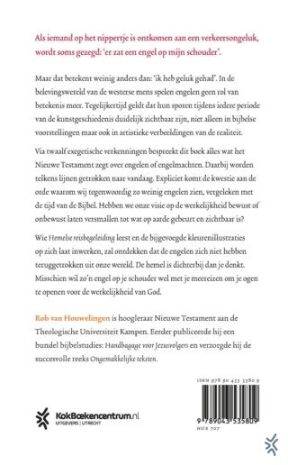 Hemelse reisbegeleiding - achterkant