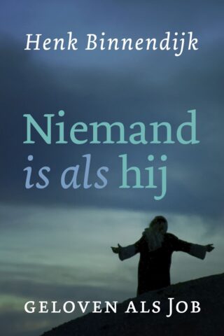 Niemand is als hij - cover