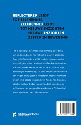 Binnenspiegel - achterkant