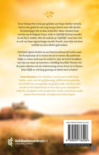 Zandpaleis - achterkant