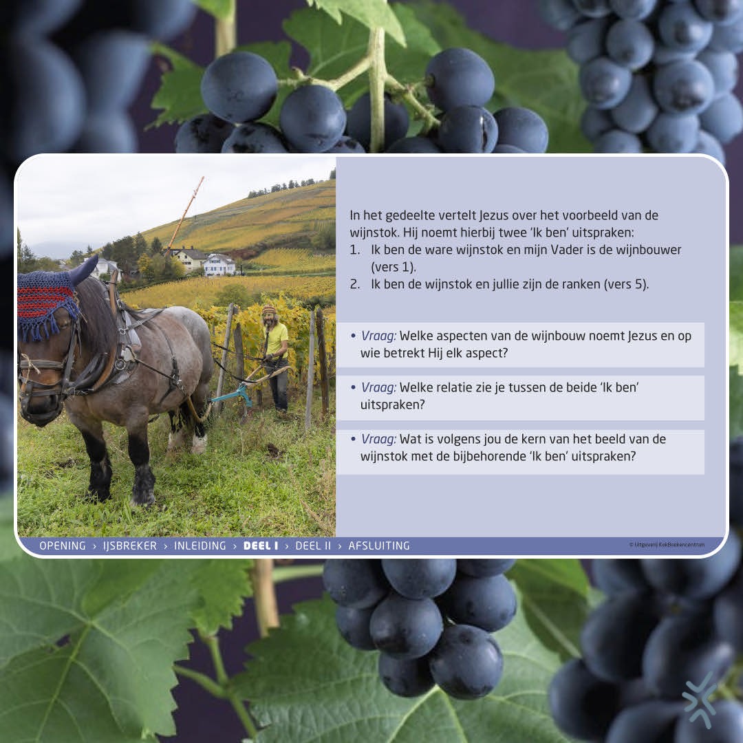 Digitale bijbelstudies – Jezus zegt: ‘Ik ben’