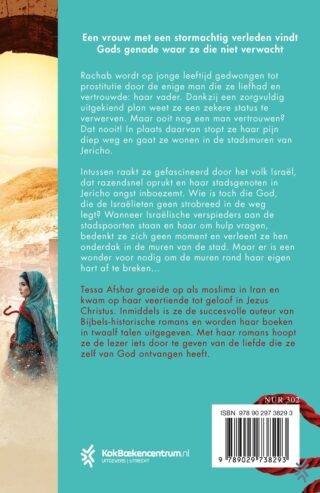 Achter de muren van Jericho - achterkant