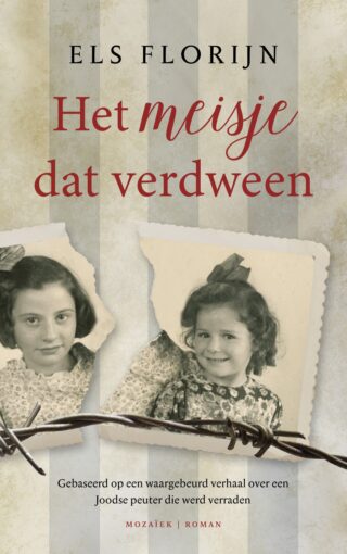 Het meisje dat verdween - cover