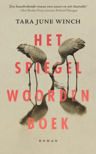 Het spiegelwoordenboek - cover