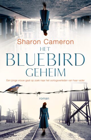 Het Bluebird geheim - cover