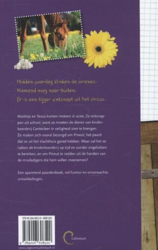 Paard ontdekt - achterkant