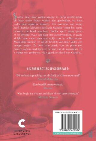 Een zomer in Parijs - achterkant