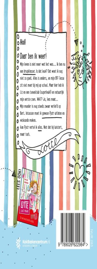 Chaos in de brugklas - achterkant