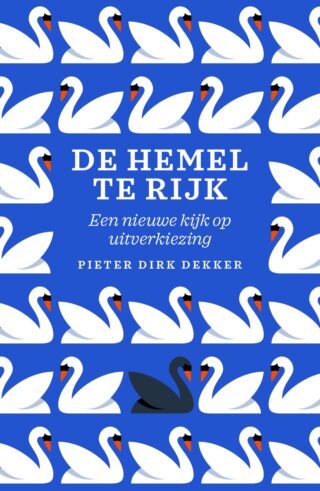 De hemel te rijk - cover