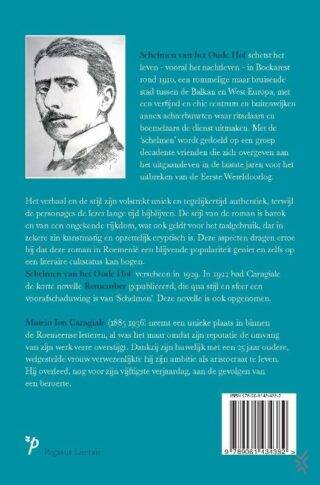 Schelmen van het Oude Hof - achterkant