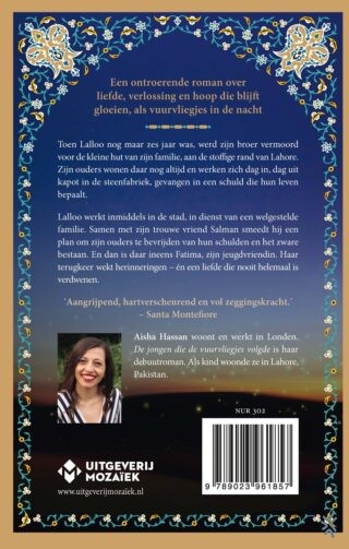 De jongen die de vuurvliegjes volgde - achterkant