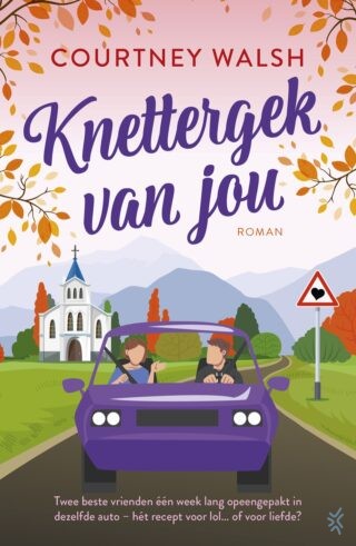 Knettergek van jou - cover