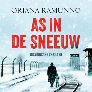 As in de sneeuw - cover