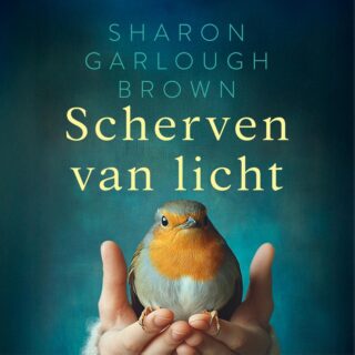Scherven van licht - cover