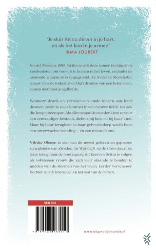 Wat blijft na de storm - achterkant