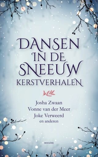 Dansen in de sneeuw - cover