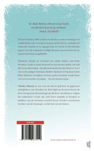 Wat blijft na de storm - achterkant