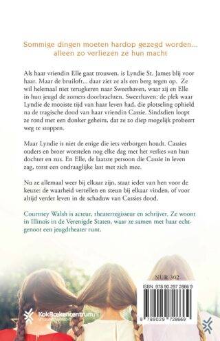 Als je me nu zou zien - achterkant