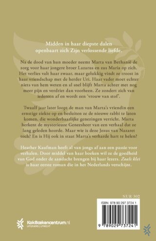 Zoals klei - achterkant