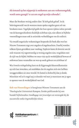Hemelse reisbegeleiding - achterkant