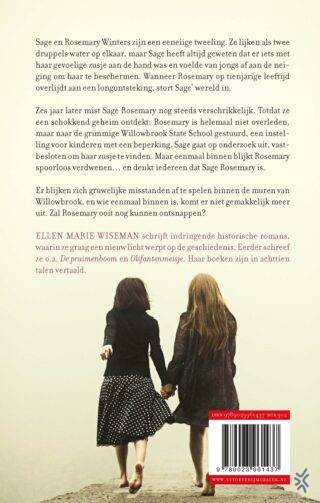 De verdwenen meisjes van Willowbrook - achterkant