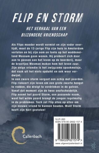 Storm - achterkant