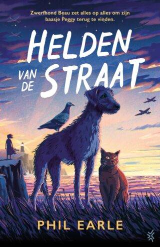 Helden van de straat - cover