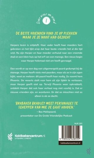 De dag dat jij mij vond - achterkant