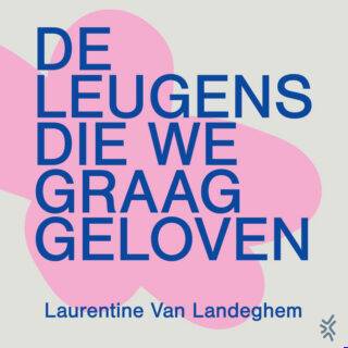 De leugens die we graag geloven - cover